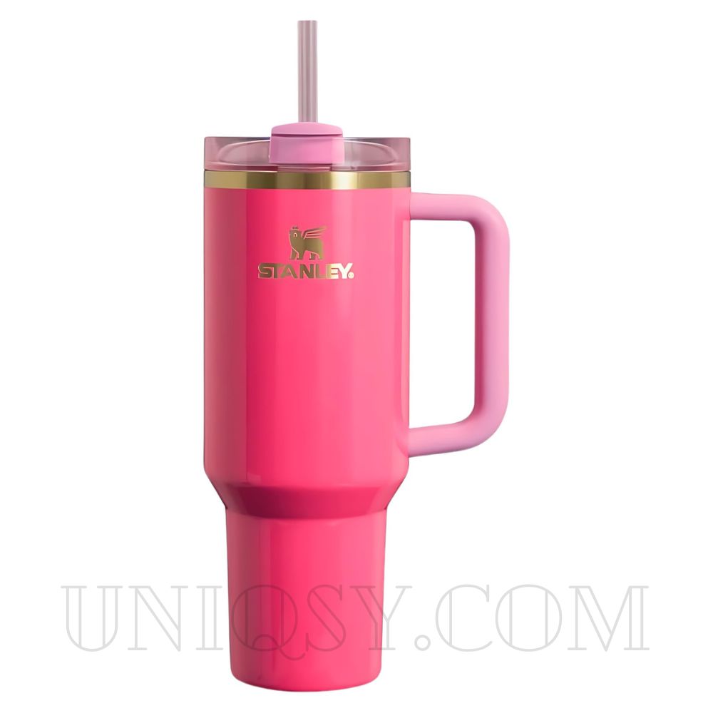 Stanley 40 OZ Tumbler Cup with Handle and Straw