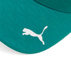 2026 Fernando Alonso Driver Cap