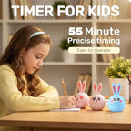 Cartoon Mechanical Kitchen Timer, 60 Minutes Countdown Timer, Mechanical Visual Timer for Kids - No Batteries Required, Kitchen Timer for Cooking, Home, Study and Classroom (Pink-B)