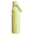 IceFlow™ Bottle with Fast Flow Lid | 36 OZ - Stanley Create