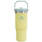 The IceFlow™ Flip Straw Tumbler | Stanley Create