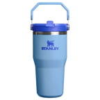 Stanley IceFlow™ Flip Straw Tumbler | 20 OZ