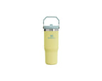 Stanley IceFlow  Straw Tumbler 30 oz