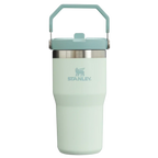 Stanley IceFlow™ Flip Straw Tumbler | 20 OZ