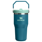 Stanley IceFlow™ Flip Straw Tumbler | 20 OZ