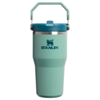 Stanley IceFlow™ Flip Straw Tumbler | 20 OZ