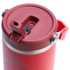 The IceFlow™ Flip Straw Tumbler | Stanley Create
