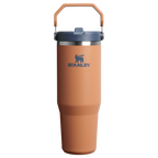 The IceFlow™ Flip Straw Tumbler | Stanley Create