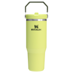 The IceFlow™ Flip Straw Tumbler | Stanley Create
